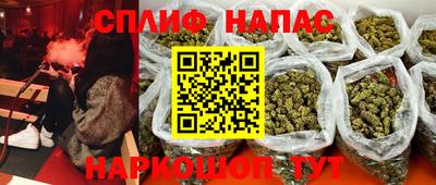 spice Кингисепп
