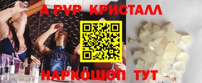 spice Кингисепп