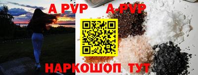 spice Кингисепп