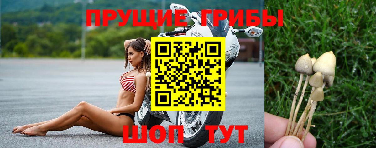 Галлюциногенные грибы Magic Shrooms  Вход с VPN  Карачаевск 